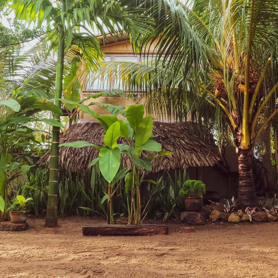 Monsoon Eco Resort - Whisky Point Arugambay Pottuvil Ngoại thất bức ảnh
