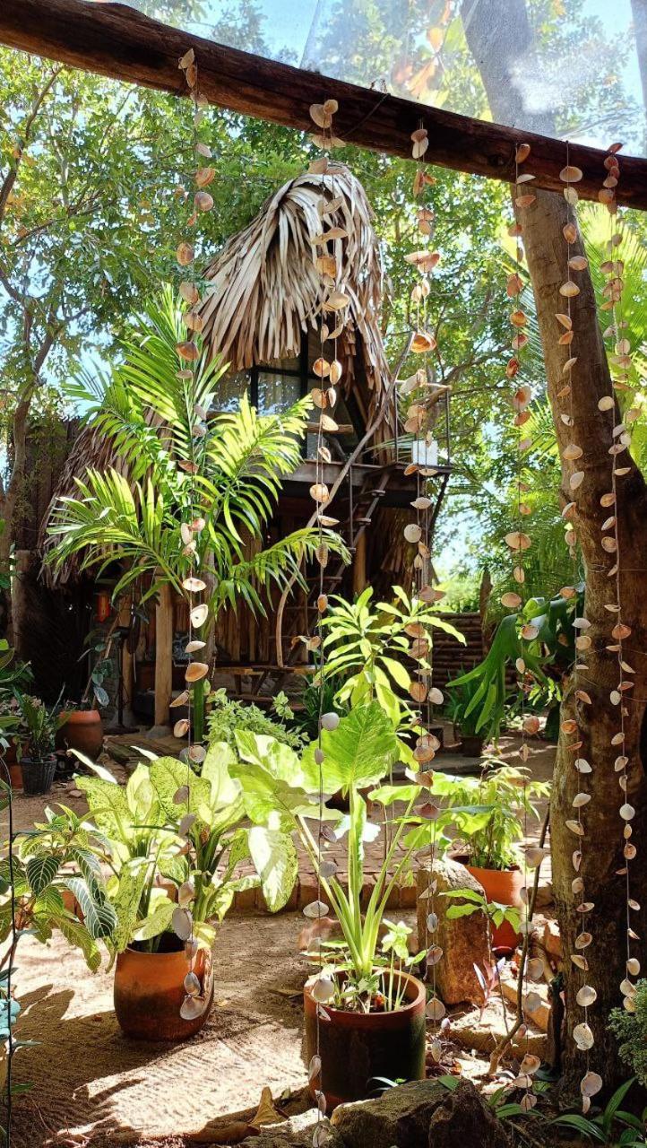 Monsoon Eco Resort - Whisky Point Arugambay Pottuvil Ngoại thất bức ảnh