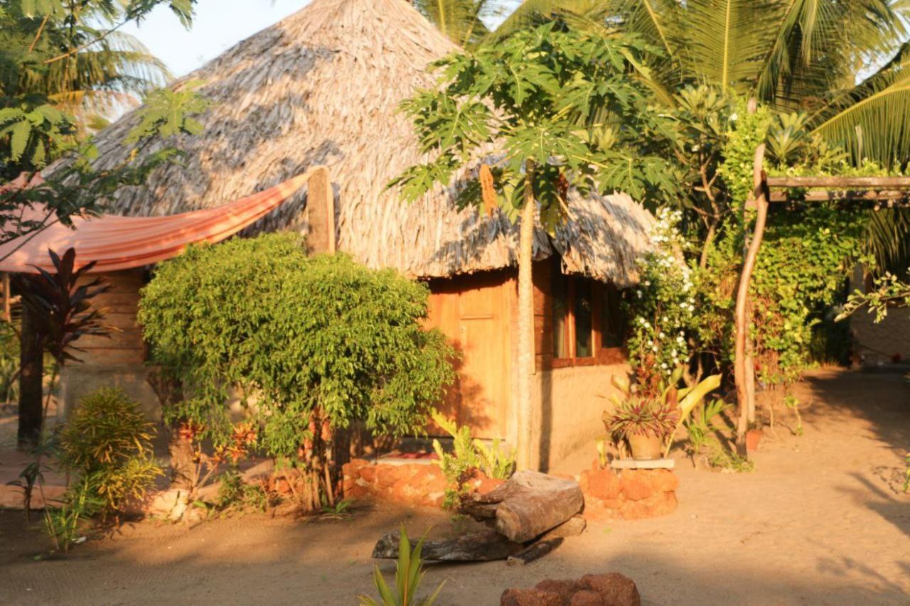 Monsoon Eco Resort - Whisky Point Arugambay Pottuvil Ngoại thất bức ảnh