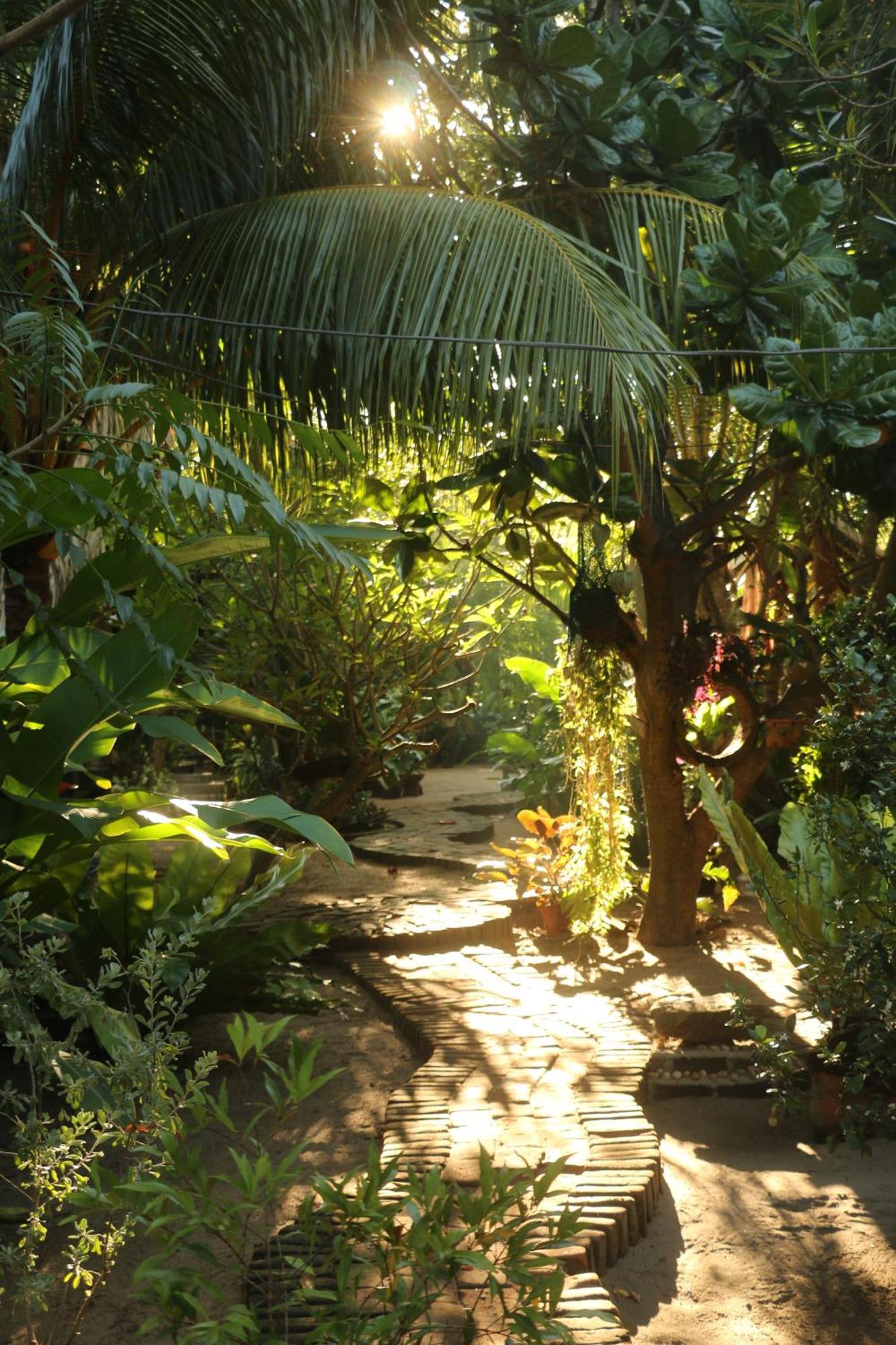 Monsoon Eco Resort - Whisky Point Arugambay Pottuvil Ngoại thất bức ảnh