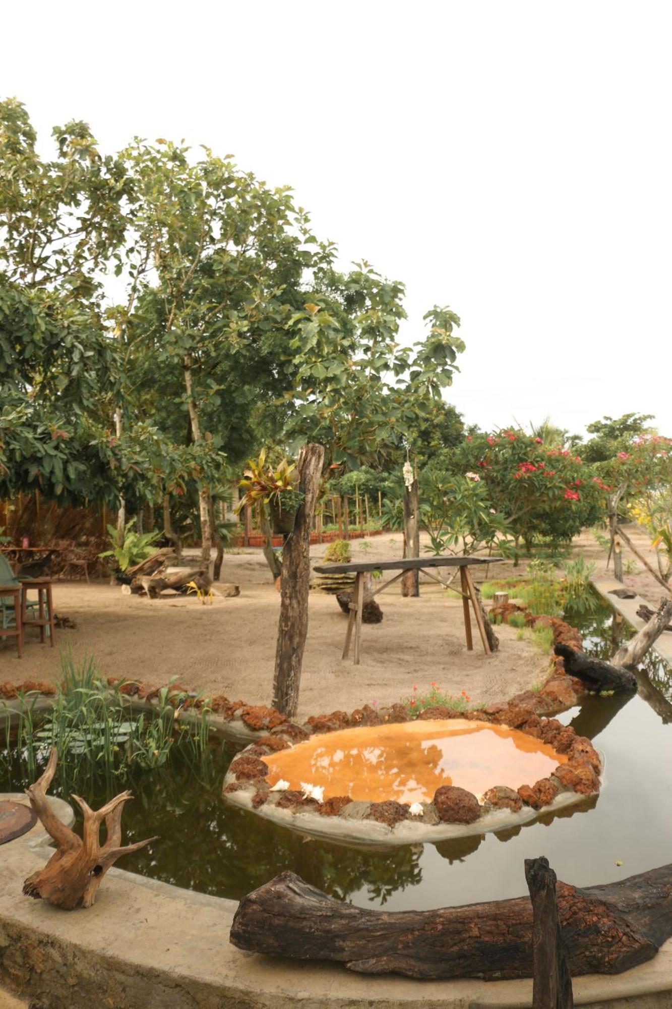 Monsoon Eco Resort - Whisky Point Arugambay Pottuvil Ngoại thất bức ảnh
