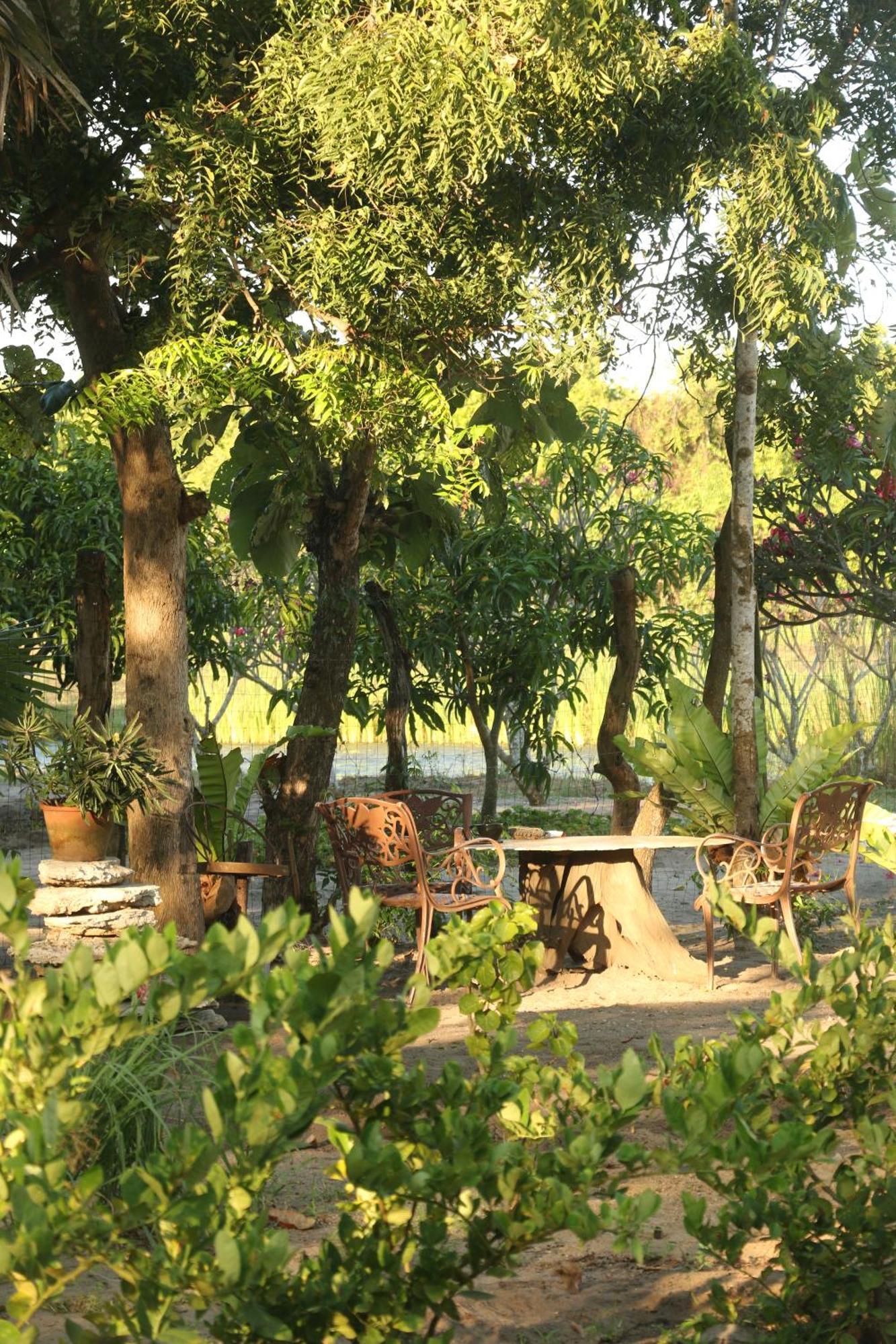Monsoon Eco Resort - Whisky Point Arugambay Pottuvil Ngoại thất bức ảnh